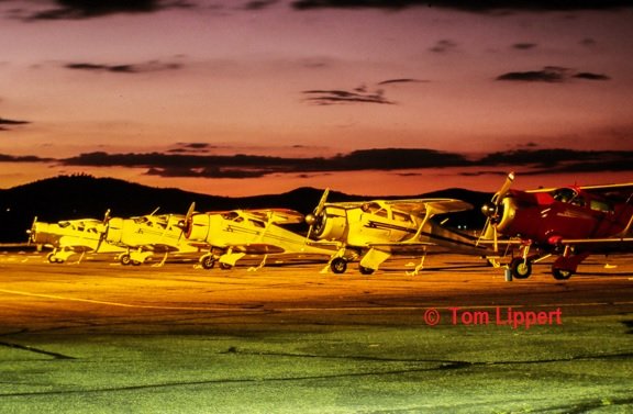 Bert's Staggerwing
